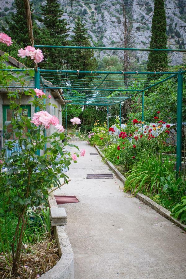 St Duke Apartment Kotor Luaran gambar