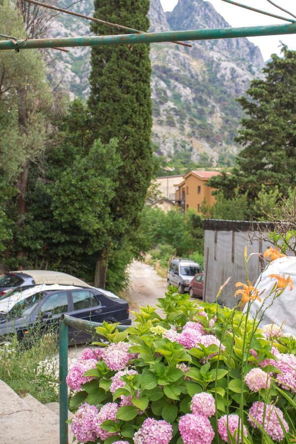 St Duke Apartment Kotor Luaran gambar