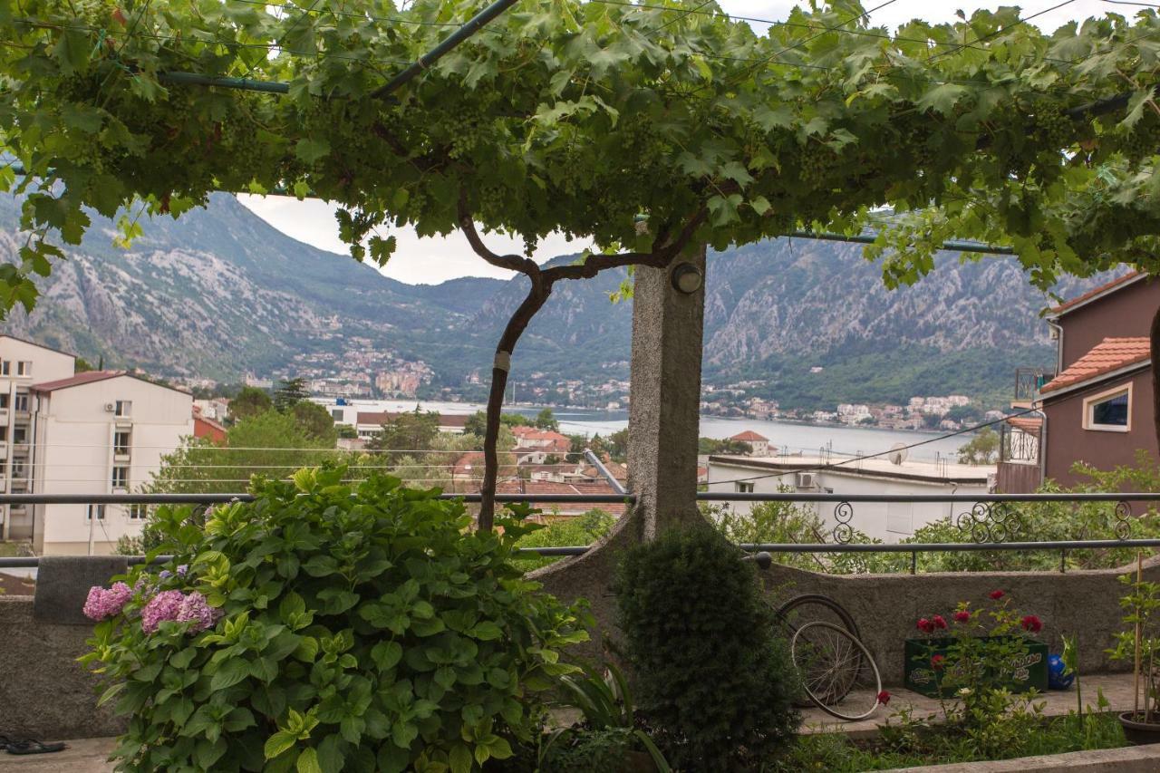 St Duke Apartment Kotor Luaran gambar