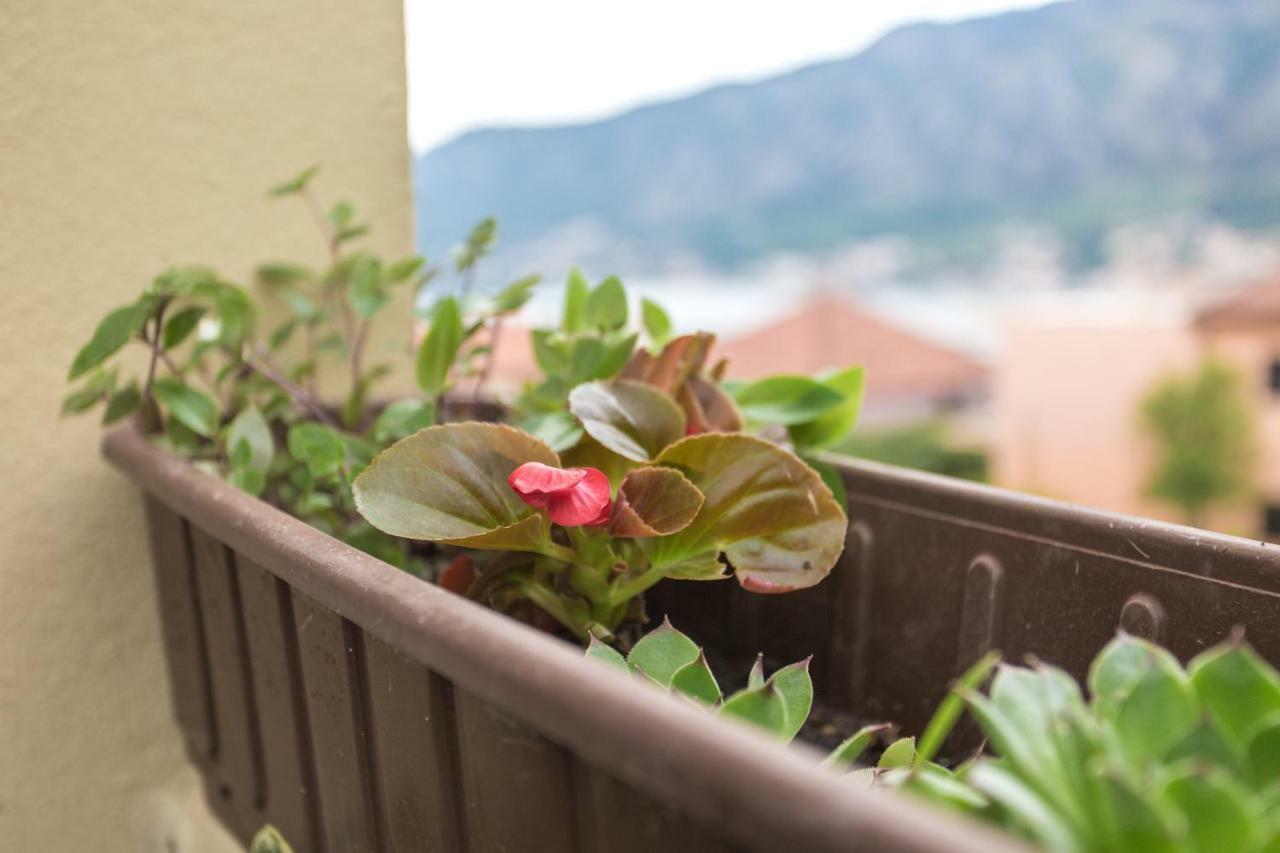 St Duke Apartment Kotor Luaran gambar